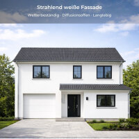 RyFo Colors Silikonharz Fassadenfarbe 10l