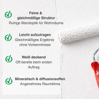 RyFo Colors Roll- und Streichputz für innen 20kg