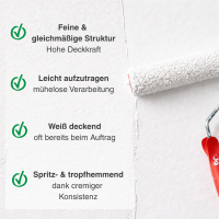 RyFo Colors Roll- und Streichputz für außen 20kg