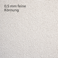 RyFo Colors Roll- und Streichputz für außen 20kg
