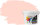 RyFo Colors Silikonharz Fassadenfarbe Lotuseffekt Trend  Einhornrosa 3l